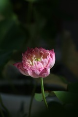 5A5FD750-3D67-4FE5-AD5D-603FA38708BF/L0/001