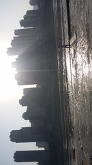 1000081336