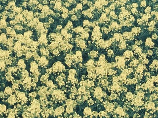 F1C3A914-FDC2-4D6D-A19A-0570A960DCE5/L0/001