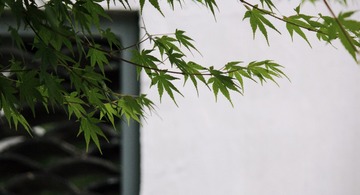 E3F6C447-C438-41AB-9615-B437ABFF6665/L0/001