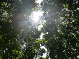 AA01100F-62A1-4D6B-A21B-17015CAC0BFC/L0/001