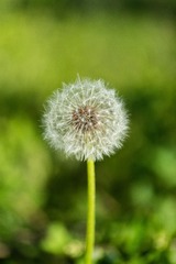 998850E5-657E-49EE-B3E8-1679EF102BDE/L0/001