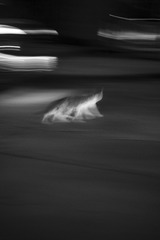 0AB977AF-F533-4FBA-9114-18A608FFA77E/L0/001