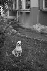 79383350-DF6C-446A-AADA-FD39AD3967BC/L0/001