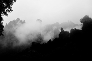 DSC_8791.jpg
