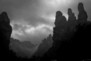 DSC_8796.jpg