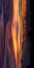 1000262244