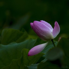 79452