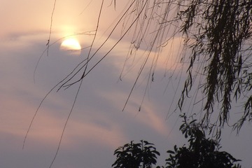 427013