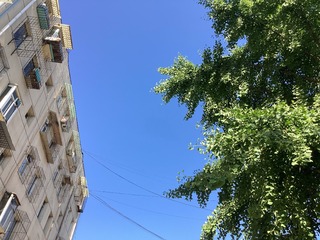 8EC55B45-1F5D-48EA-8F0E-C50380AF10F1/L0/001
