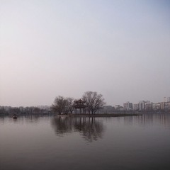 岛