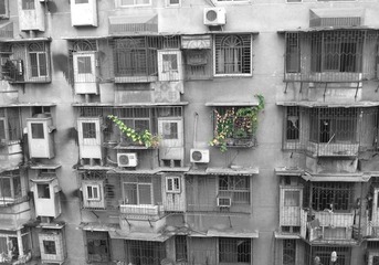 水泥森林