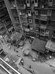 石屎森林