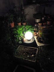 夜灯