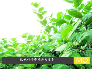 青春.jpg