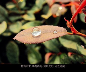 物有始末.jpg