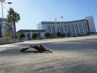 IMG_3534_副本.jpg