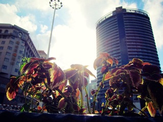 IMG_1857_副本.jpg