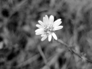 IMG_3164_副本.jpg