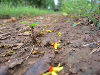 IMG_3461_副本.jpg