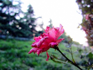 IMG_3569_副本.jpg