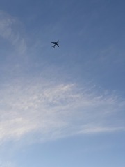 FF6EEB1F-66D2-43D8-9FAB-1B0049A2D31D/L0/001