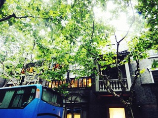 DSC02104_副本.jpg