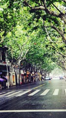 DSC02092_副本.jpg