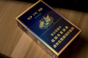 19981
