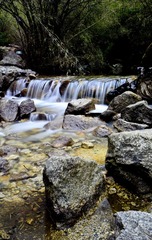 DSC_9224.jpg