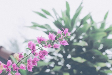 C5E894F0-CBF3-4D6D-8AC3-412B0488E242/L0/001