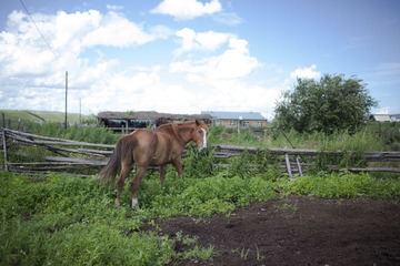_MG_7375.jpg