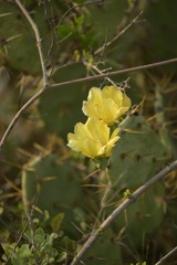 1A22BC20-F20E-4AAD-BD14-3D5AA06F2AA6/L0/001