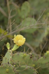 C17E8114-0C74-40AE-AC6C-7E8DA5CD05FF/L0/001