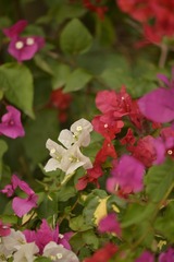 932DAE72-6130-41A5-95DE-013BD64F2DEB/L0/001