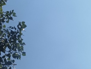 1000003210
