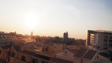 P5137713.JPG