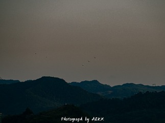 9879E42E-8406-458D-B0F7-7C5DD231A540/L0/001