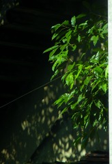 138071
