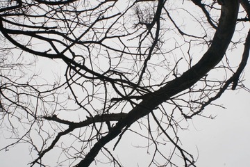 _MG_3851.JPG