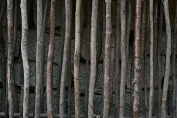 _MG_0288.JPG