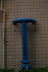 DSC_0166.JPG