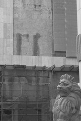 DSC_0118.JPG