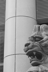 DSC_0119.JPG