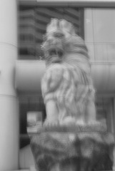 DSC_0121.JPG
