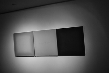 DSC_0310.JPG
