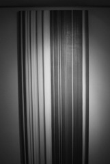 DSC_0311.JPG