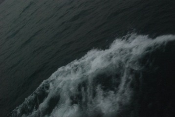 DSC_0342.JPG