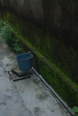 DSC_0454.JPG
