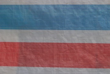 DSC_0484.JPG